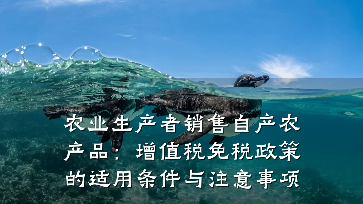 农业生产者销售自产农产品:增值税免税政策的适用条件与注意事项