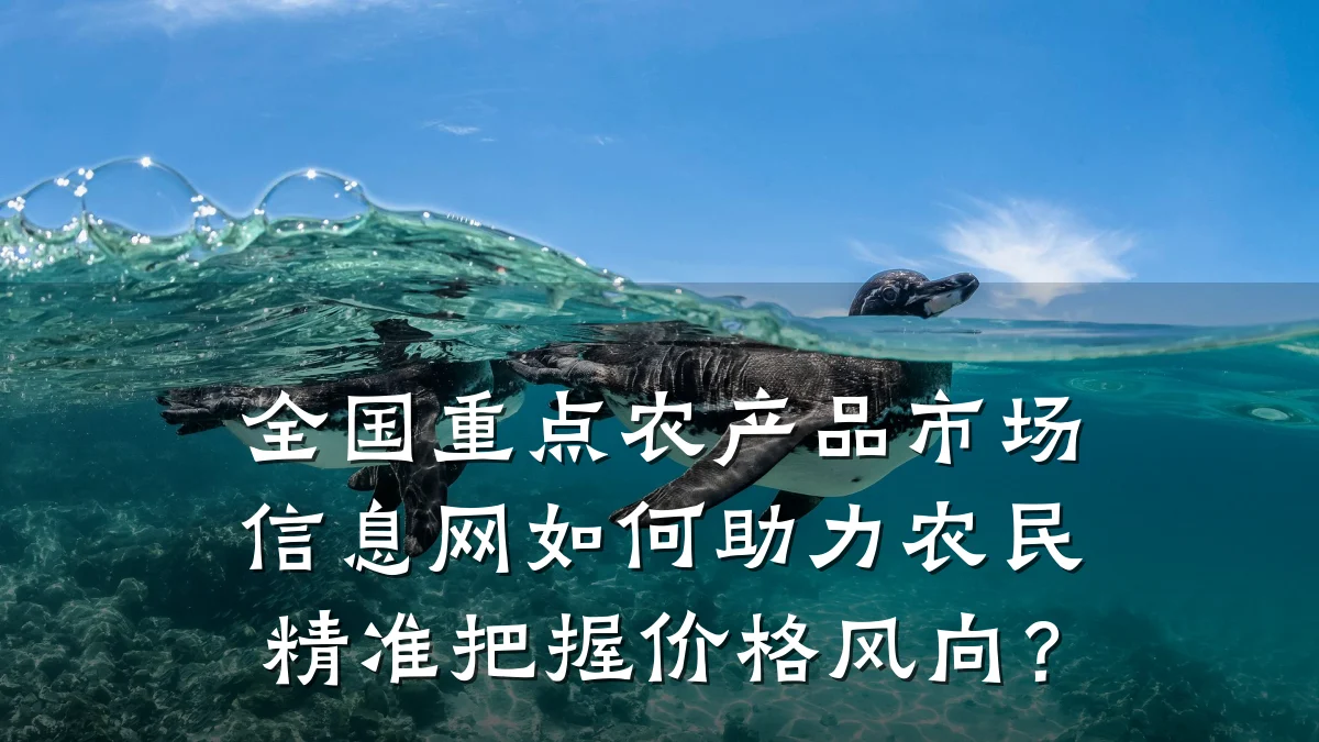全国重点农产品市场信息网如何助力农民精准把握价格风向？