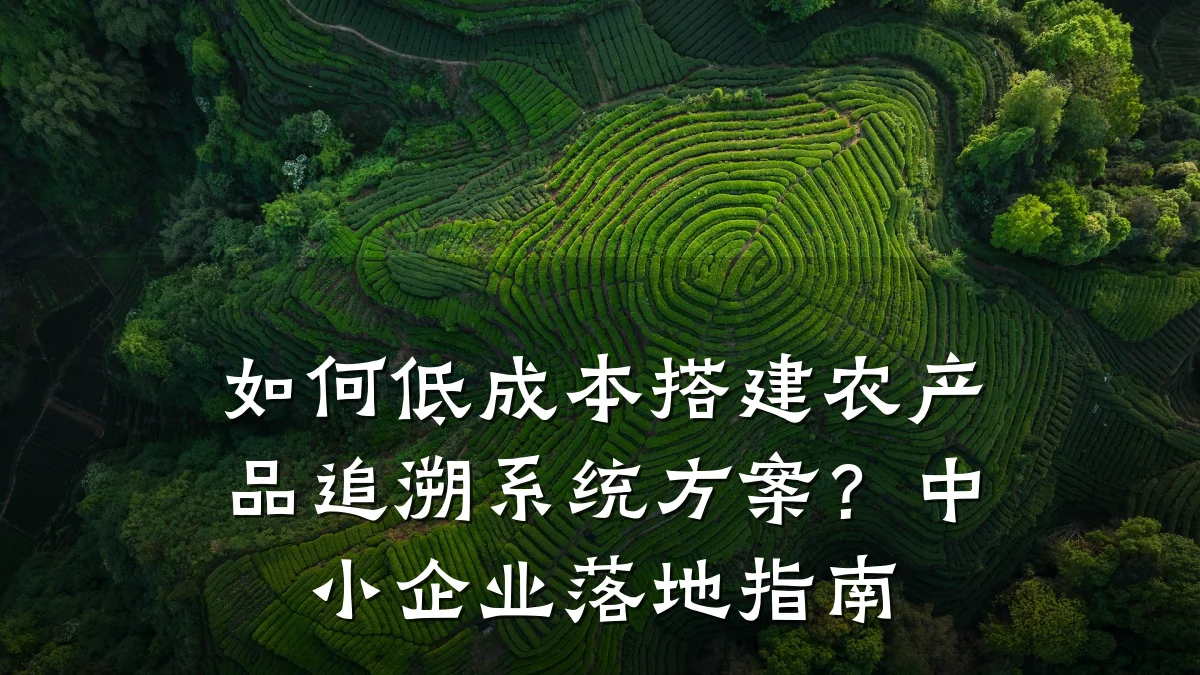 如何低成本搭建农产品追溯系统方案？中小企业落地指南