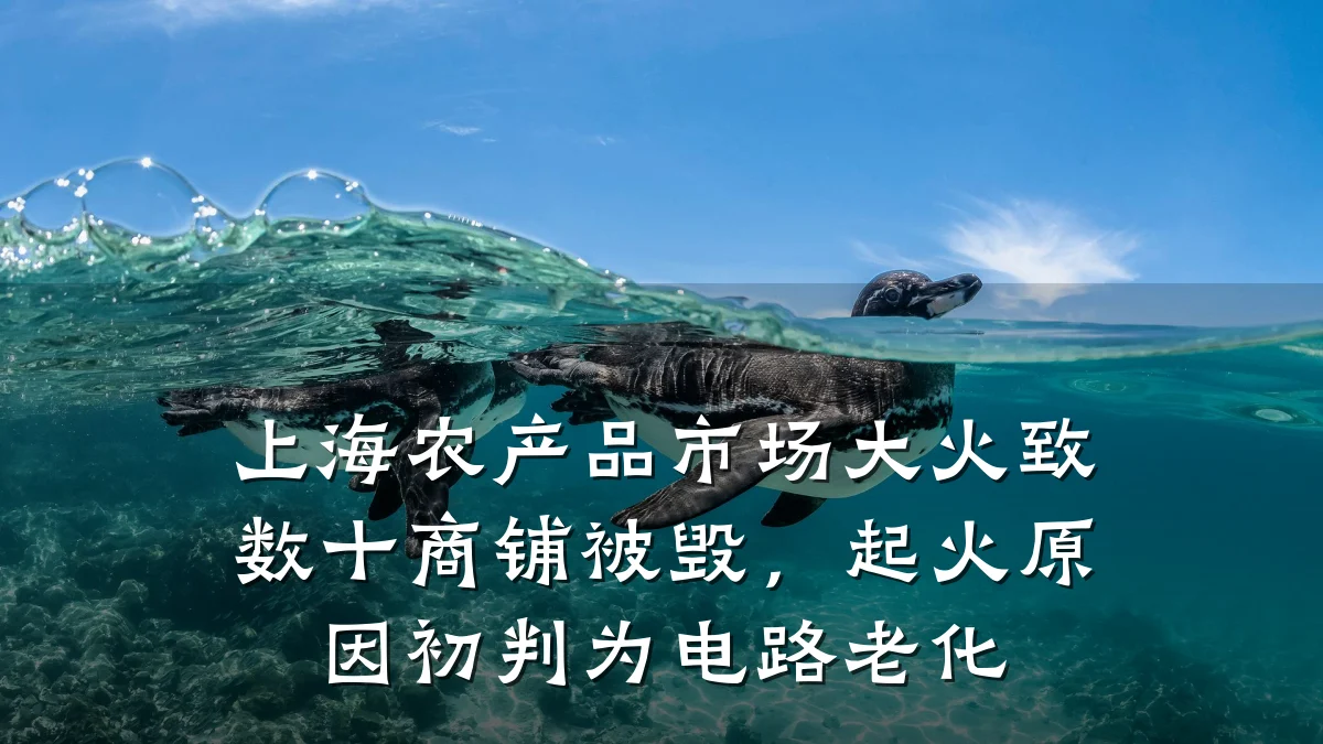 上海农产品市场大火致数十商铺被毁，起火原因初判为电路老化