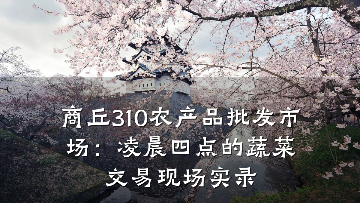 商丘310农产品批发市场：凌晨四点的蔬菜交易现场实录