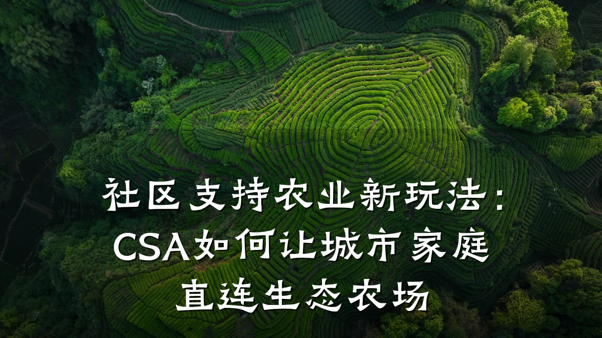 社区支持农业新玩法：CSA如何让城市家庭直连生态农场