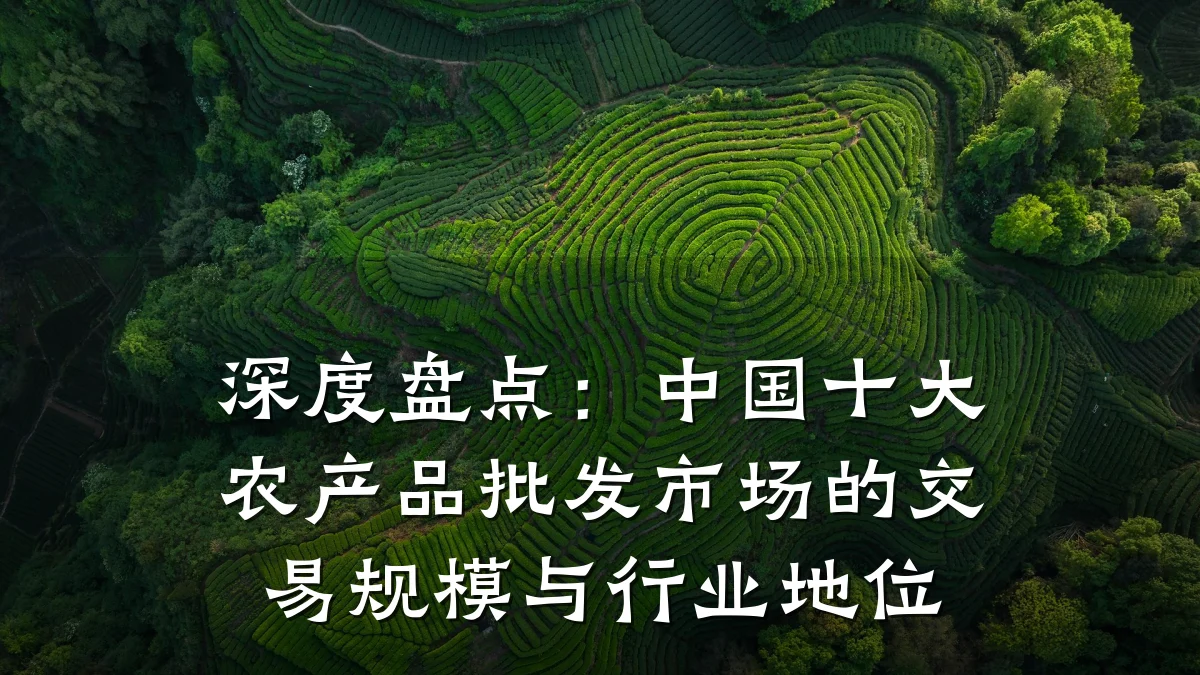 深度盘点：中国十大农产品批发市场的交易规模与行业地位