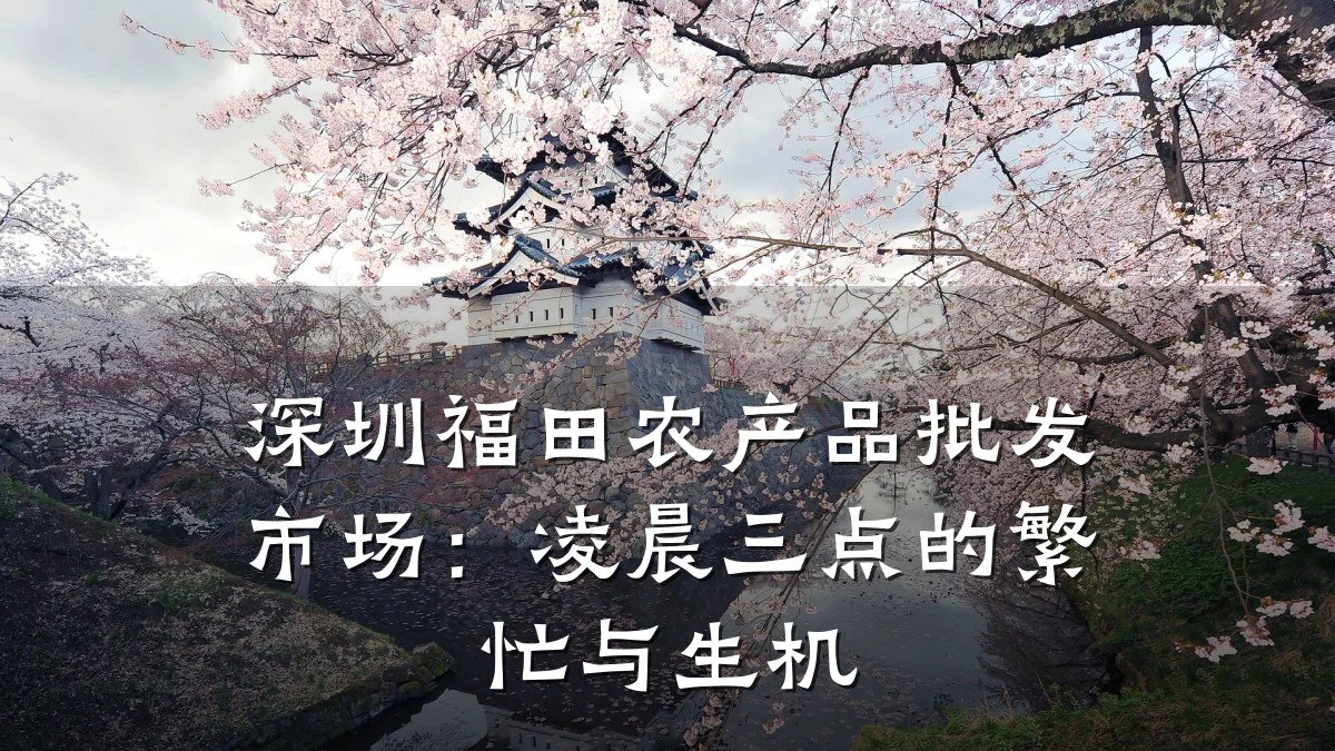 深圳福田农产品批发市场：凌晨三点的繁忙与生机