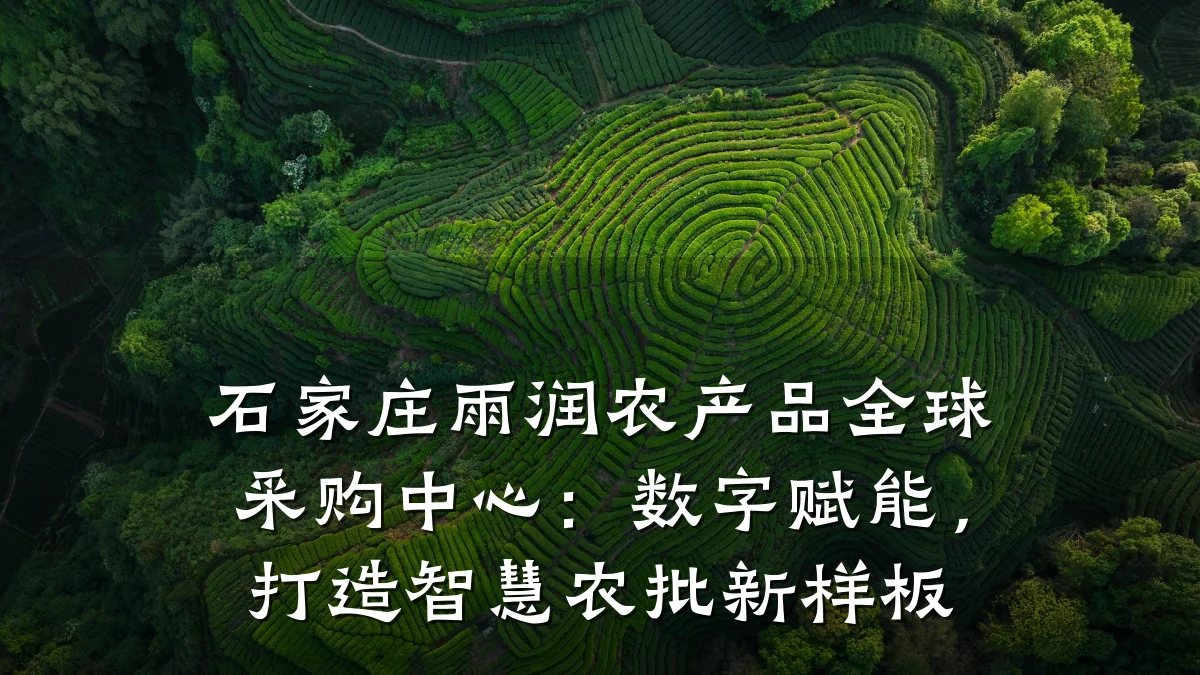 石家庄雨润农产品全球采购中心：数字赋能，打造智慧农批新样板