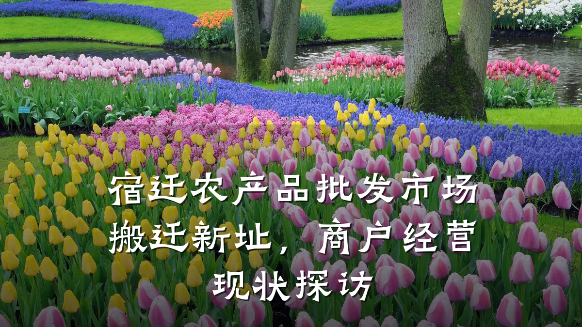 宿迁农产品批发市场搬迁新址，商户经营现状探访