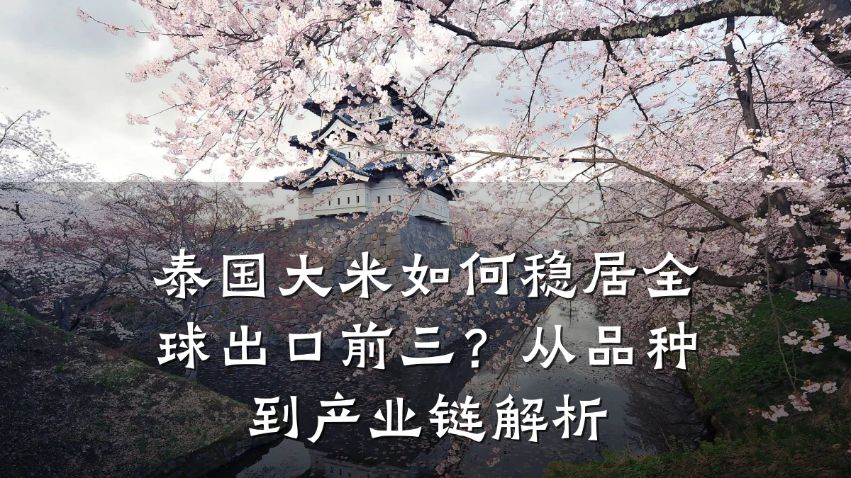 泰国大米如何稳居全球出口前三？从品种到产业链解析