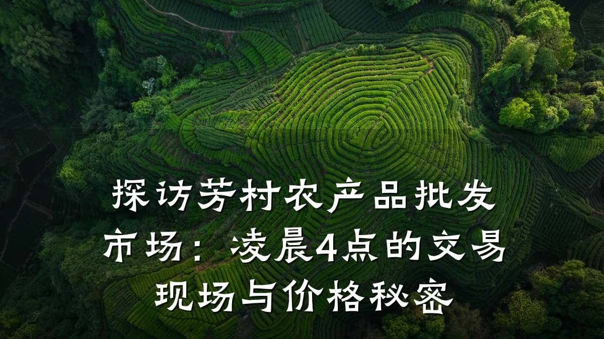 探访芳村农产品批发市场：凌晨4点的交易现场与价格秘密