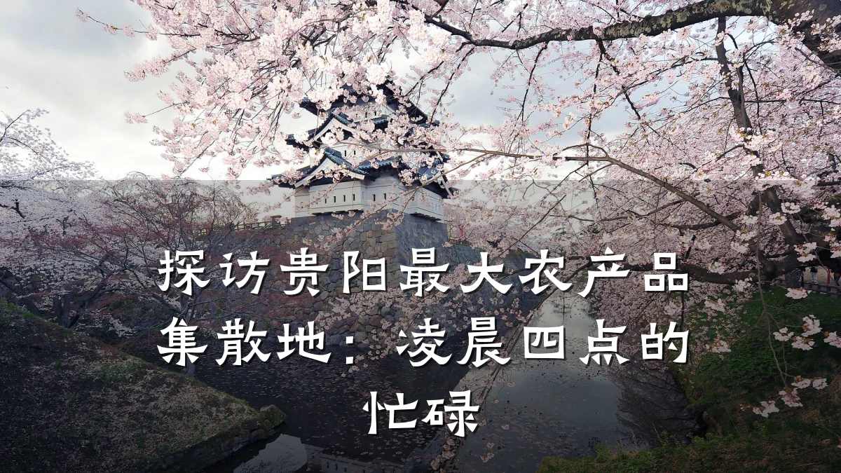 探访贵阳最大农产品集散地：凌晨四点的忙碌