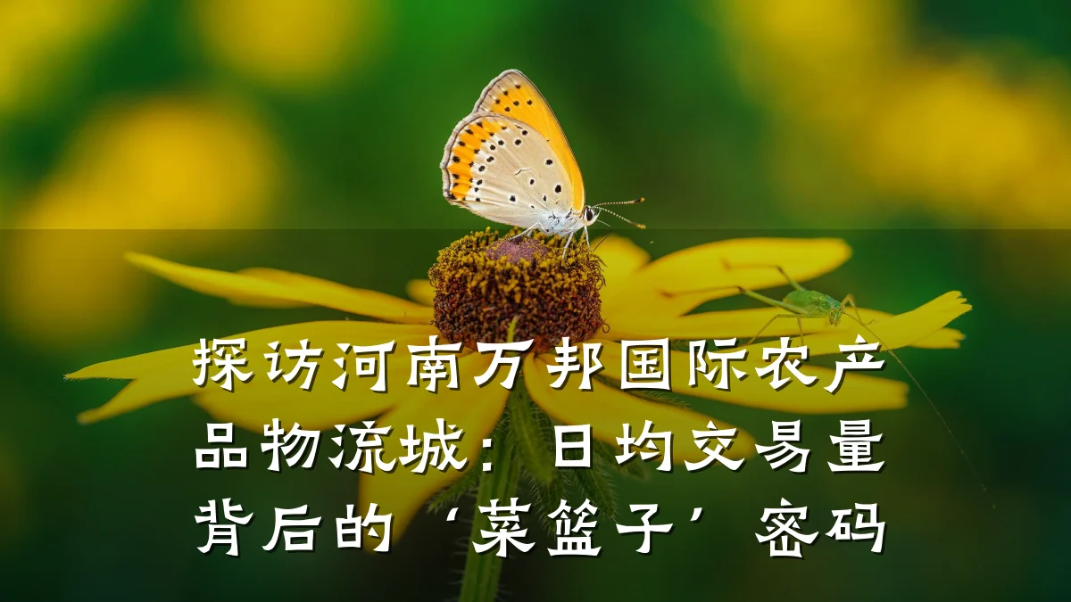 探访河南万邦国际农产品物流城：日均交易量背后的‘菜篮子’密码