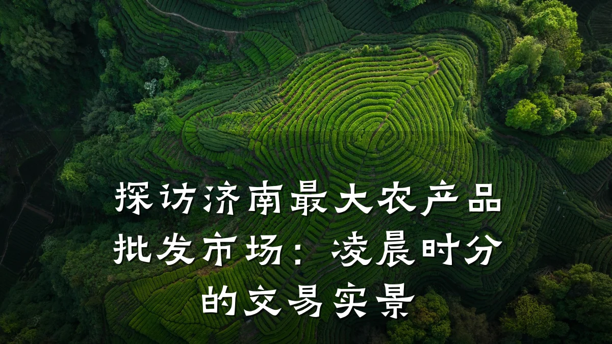 探访济南最大农产品批发市场：凌晨时分的交易实景