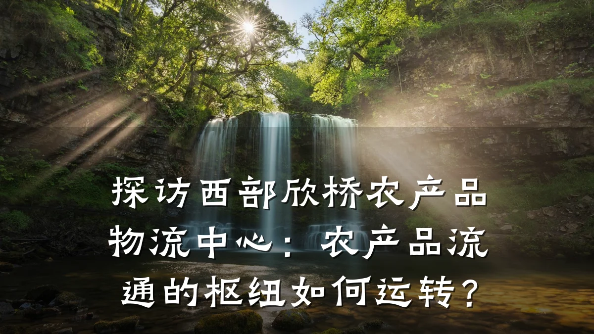 探访西部欣桥农产品物流中心：农产品流通的枢纽如何运转？