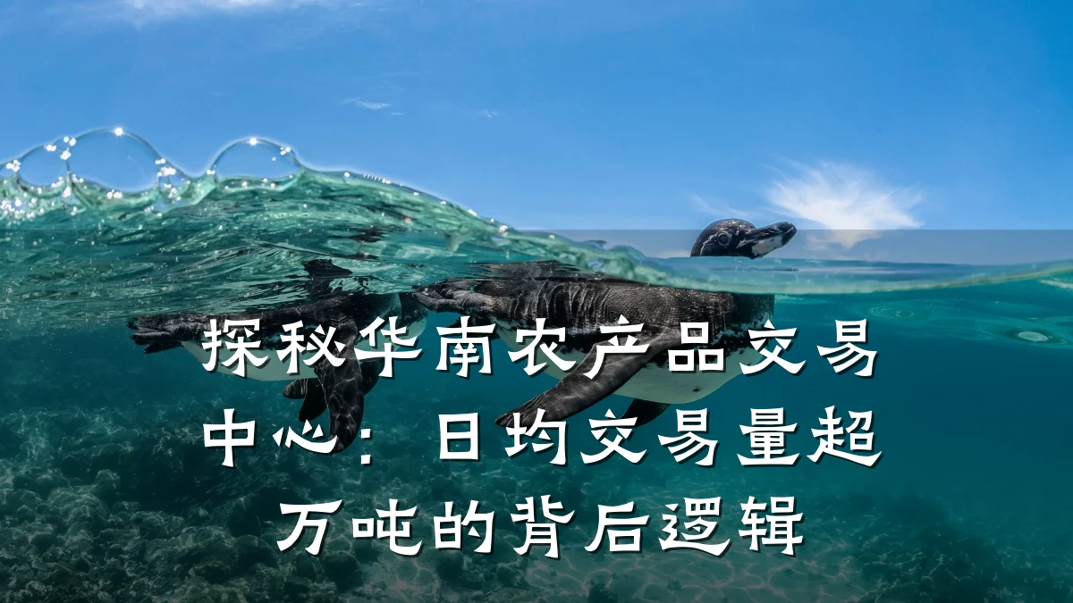 探秘华南农产品交易中心：日均交易量超万吨的背后逻辑