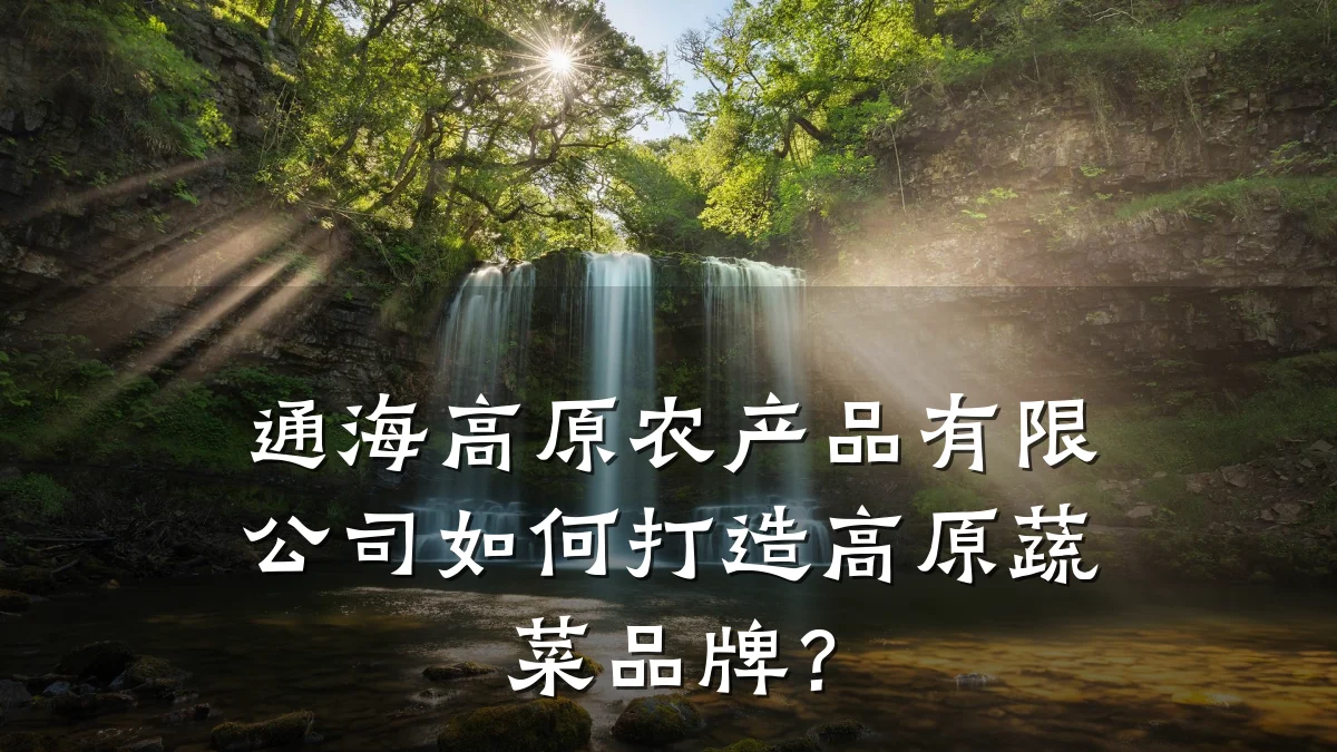 通海高原农产品有限公司如何打造高原蔬菜品牌？