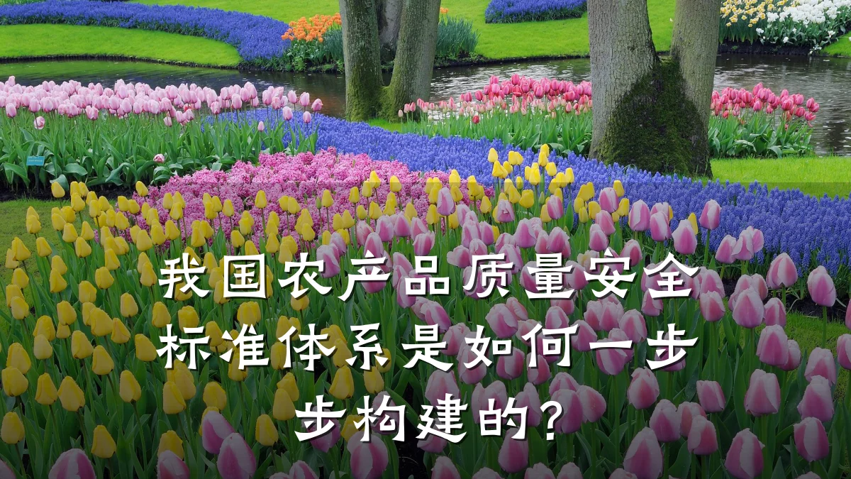 我国农产品质量安全标准体系是如何一步步构建的？