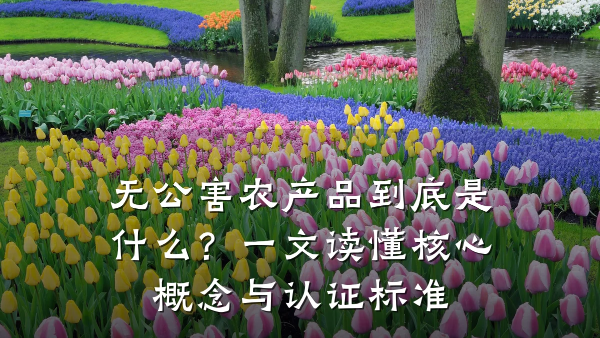 无公害农产品到底是什么？一文读懂核心概念与认证标准