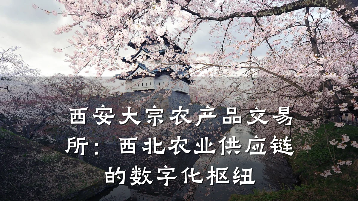 西安大宗农产品交易所：西北农业供应链的数字化枢纽