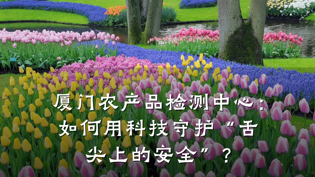 厦门农产品检测中心：如何用科技守护“舌尖上的安全”？