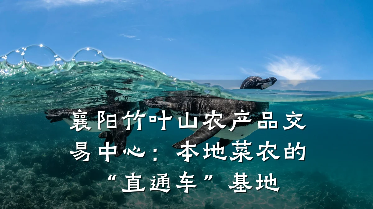 襄阳竹叶山农产品交易中心：本地菜农的“直通车”基地