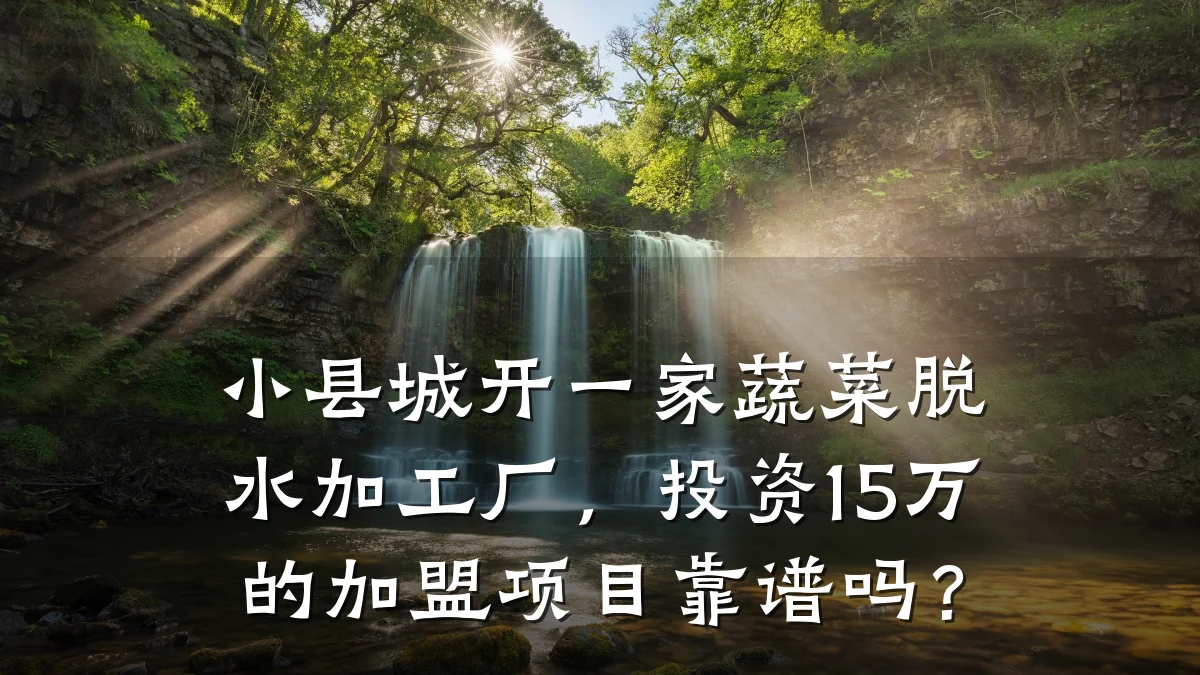 小县城开一家蔬菜脱水加工厂，投资15万的加盟项目靠谱吗？