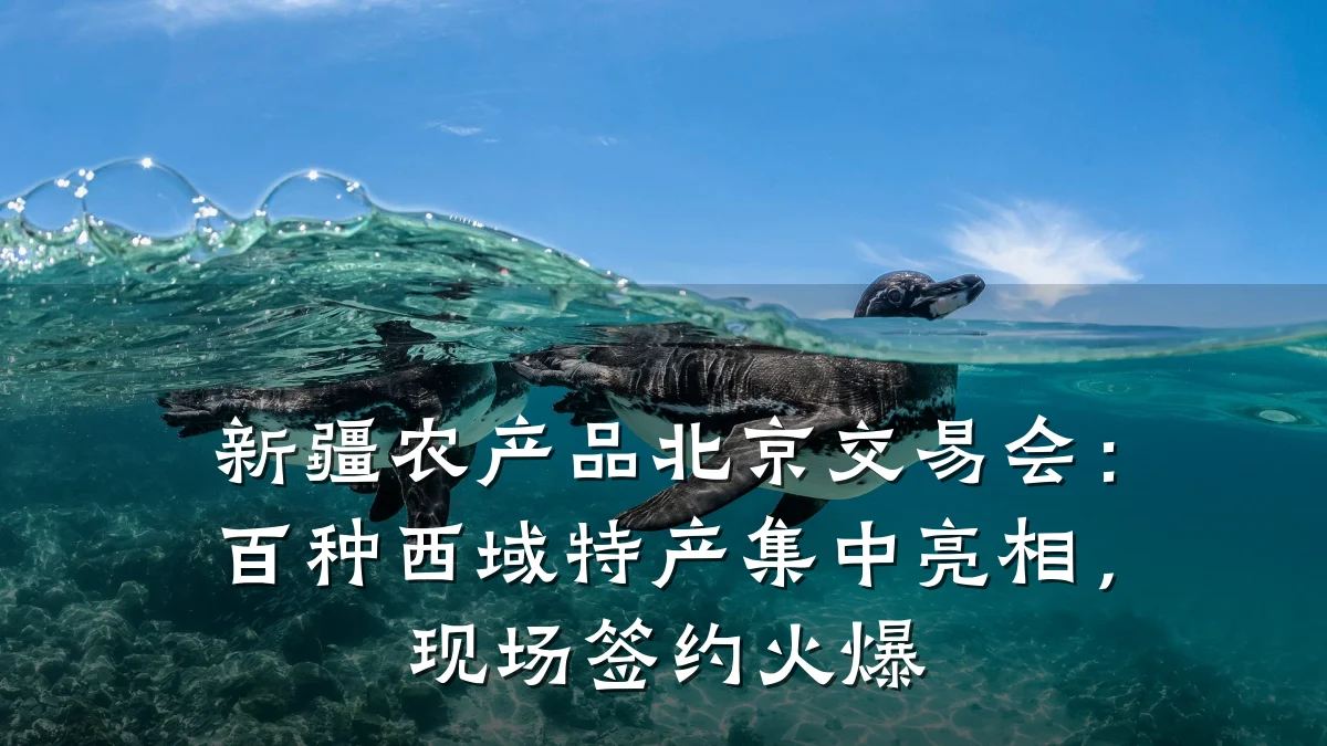 新疆农产品北京交易会:百种西域特产集中亮相,现场签约火爆