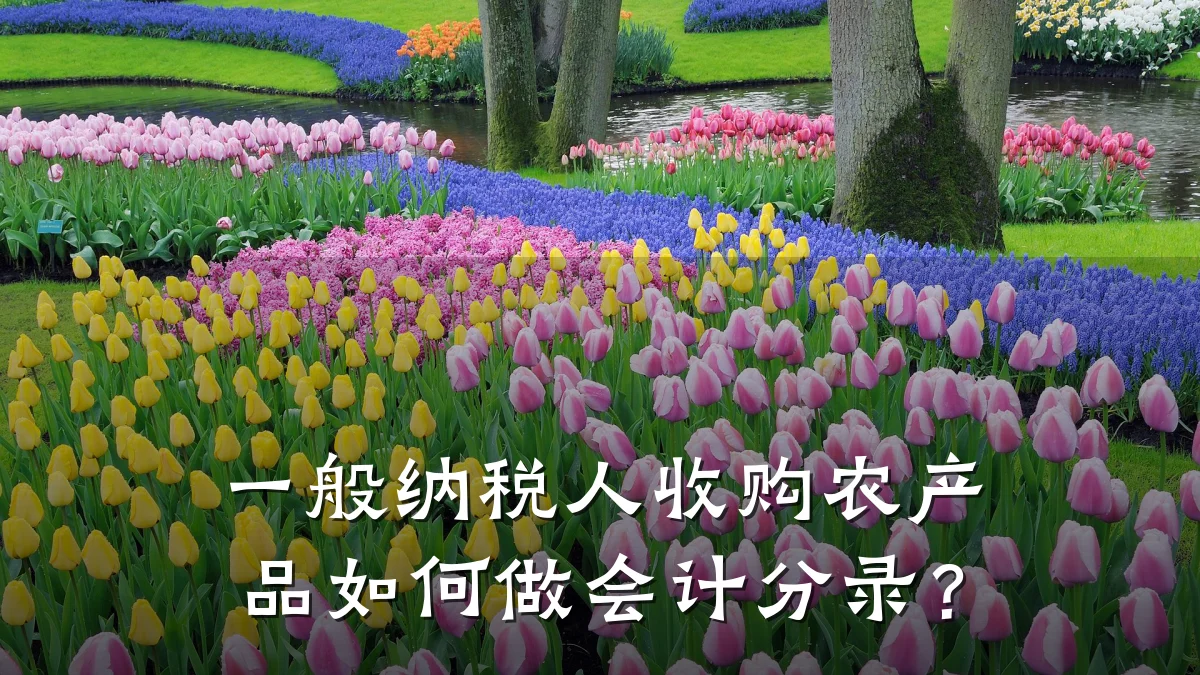 一般纳税人收购农产品如何做会计分录？