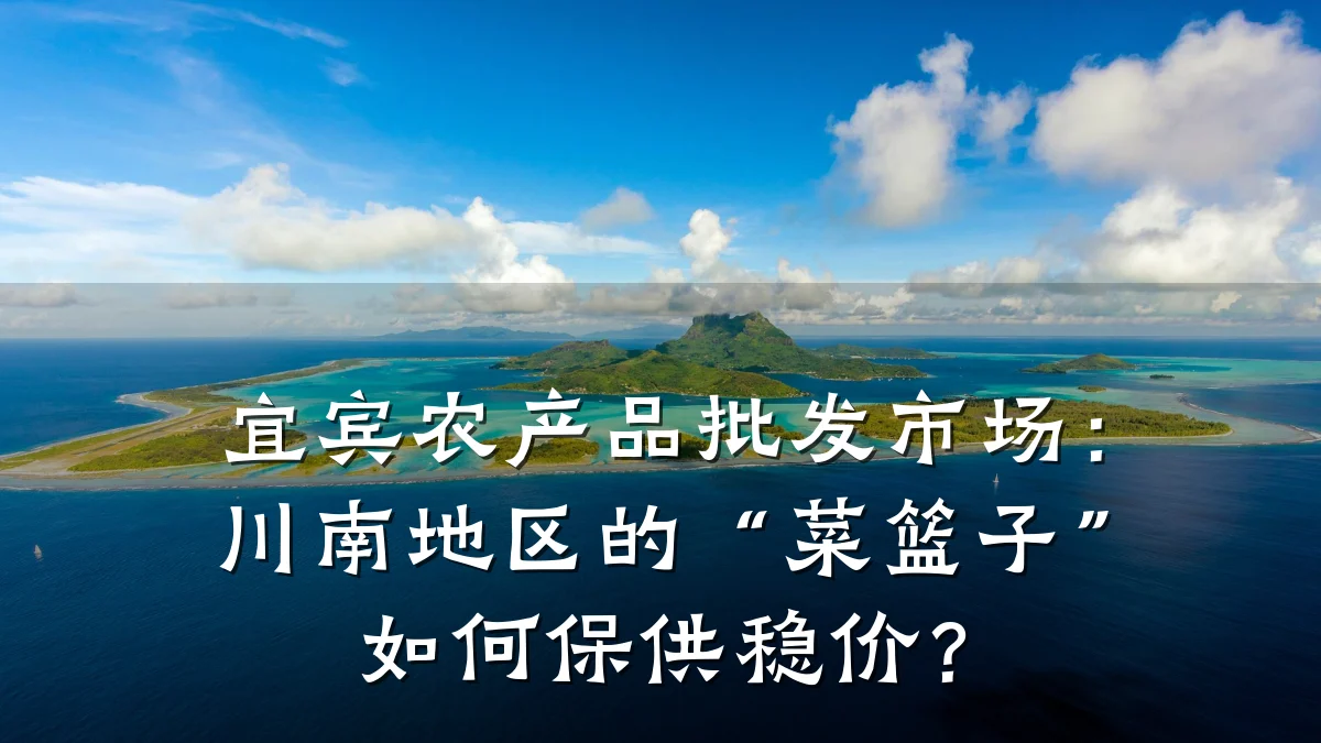 宜宾农产品批发市场：川南地区的“菜篮子”如何保供稳价？