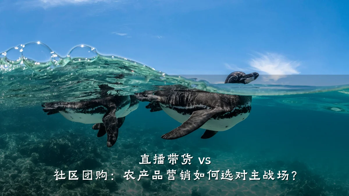 直播带货 vs 社区团购：农产品营销如何选对主战场？