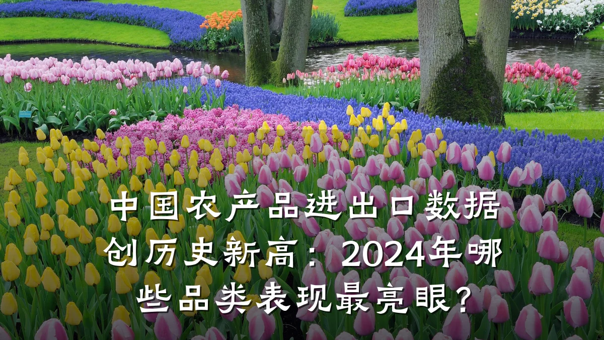 中国农产品进出口数据创历史新高：2024年哪些品类表现最亮眼？