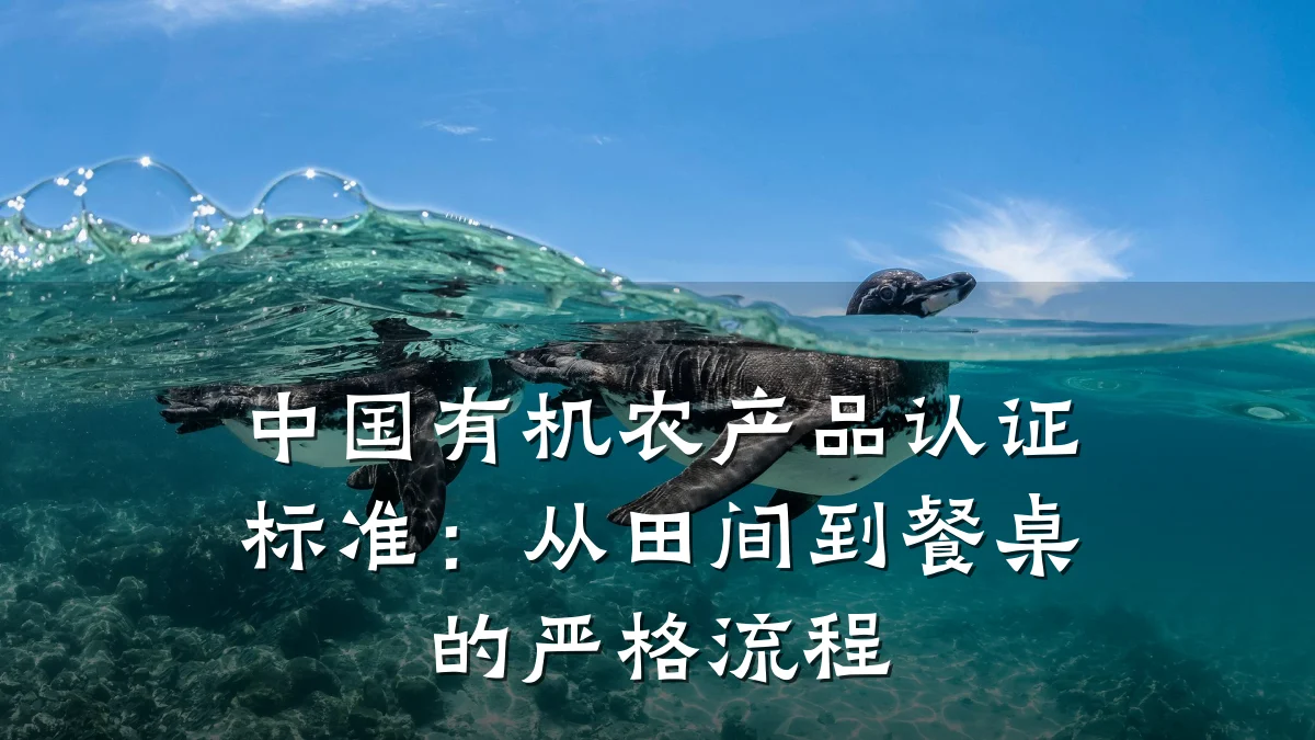 中国有机农产品认证标准：从田间到餐桌的严格流程