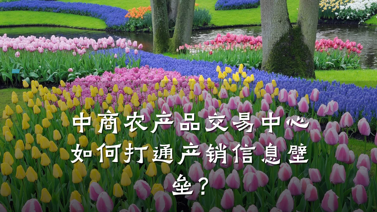中商农产品交易中心如何打通产销信息壁垒？