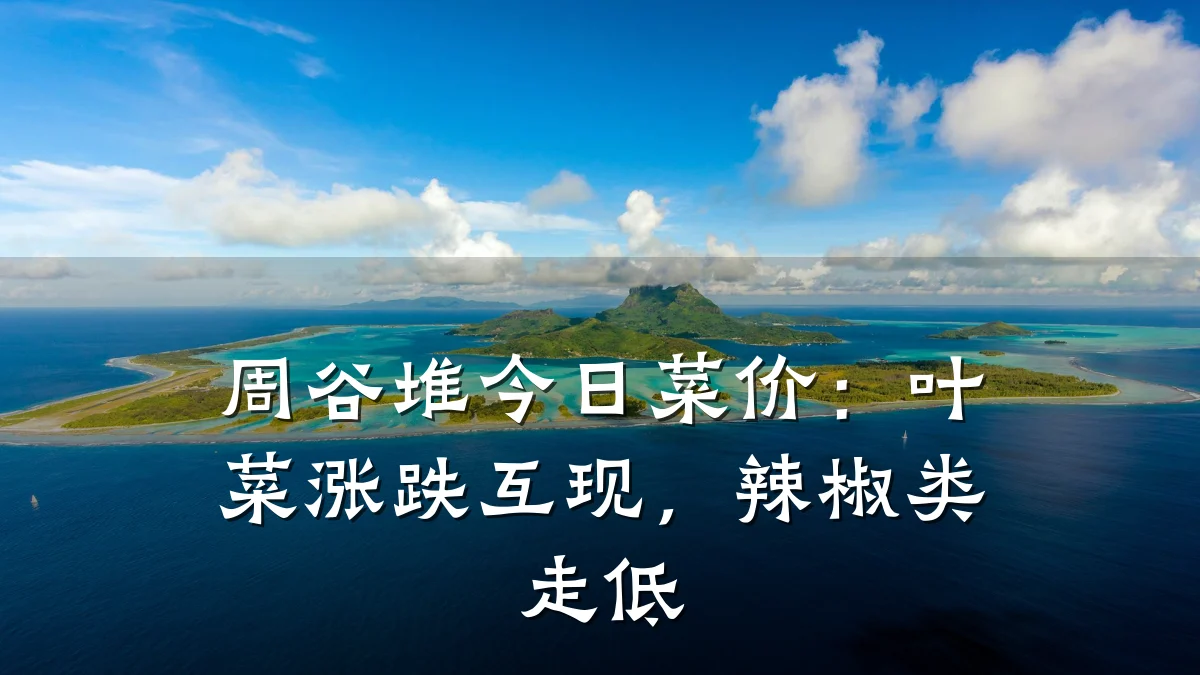 周谷堆今日菜价：叶菜涨跌互现，辣椒类走低