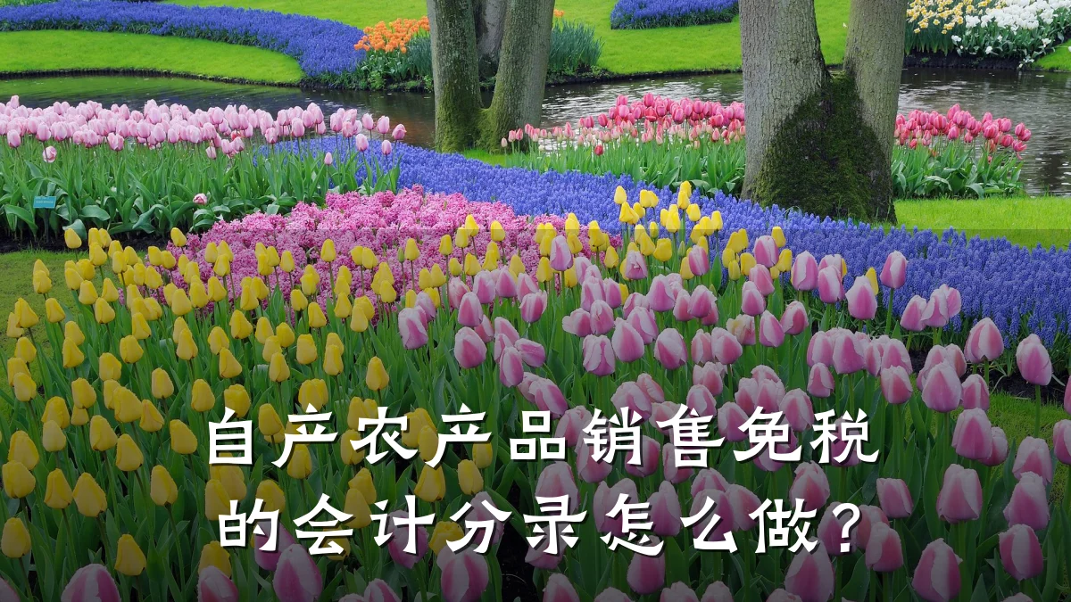自产农产品销售免税的会计分录怎么做？