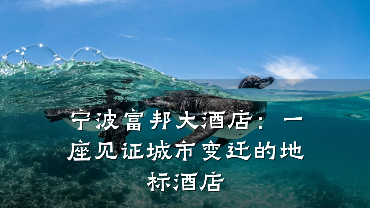 宁波富邦大酒店：一座见证城市变迁的地标酒店