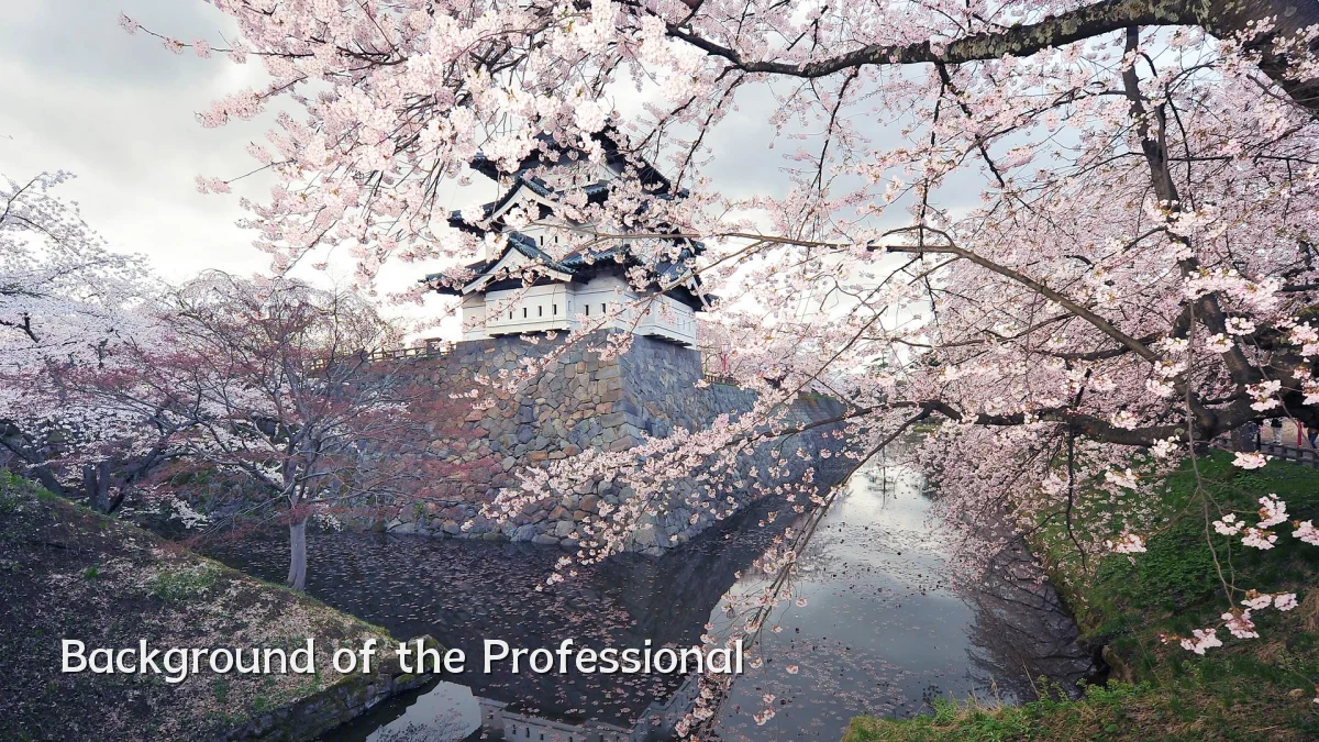 Background of the Professional