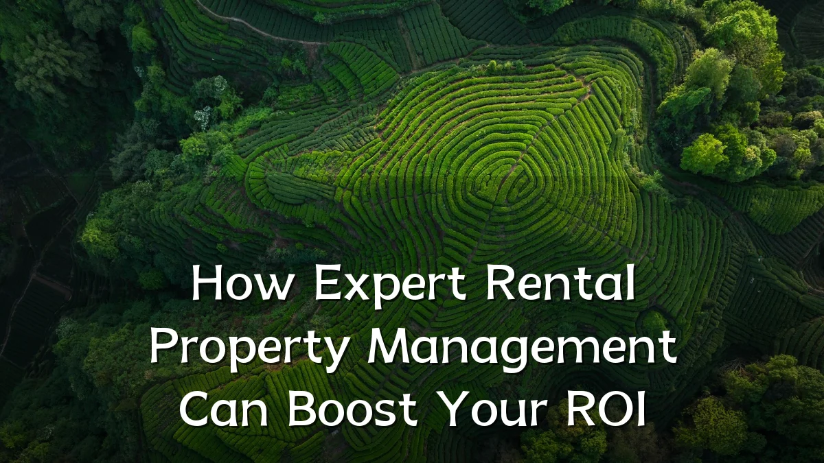 How Expert Rental Property Management Can Boost Your ROI