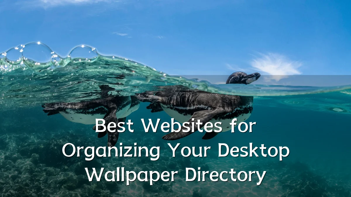 Best Websites for Organizing Your Desktop Wallpaper Directory