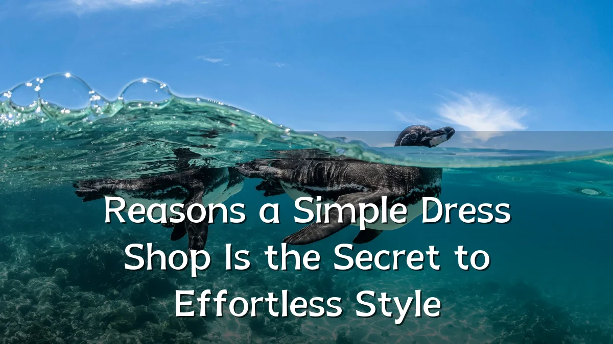 Reasons a Simple Dress Shop Is the Secret to Effortless Style