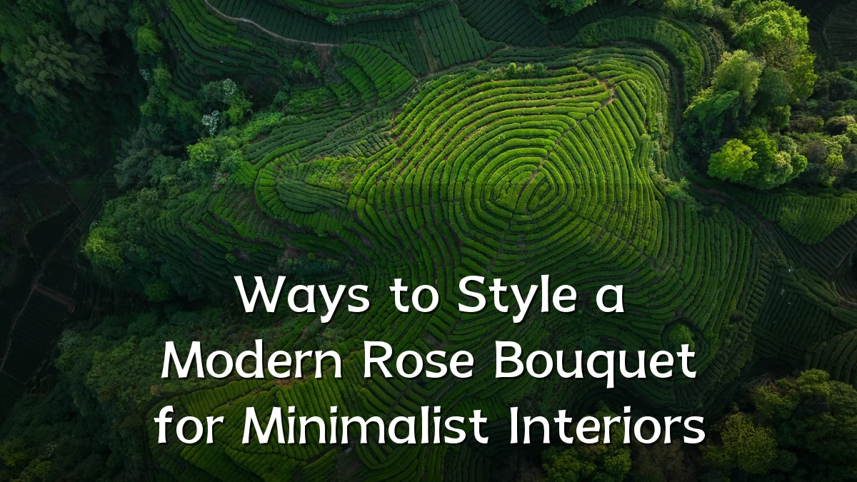 Ways to Style a Modern Rose Bouquet for Minimalist Interiors