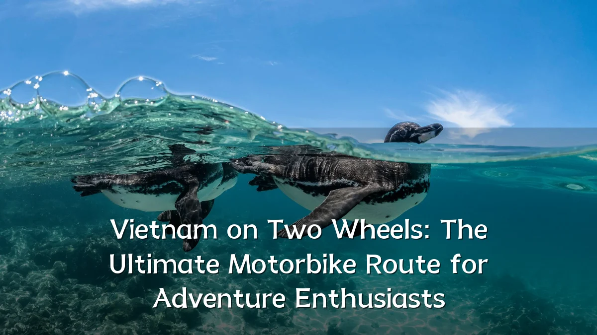 Vietnam on Two Wheels: The Ultimate Motorbike Route for Adventure Enthusiasts
