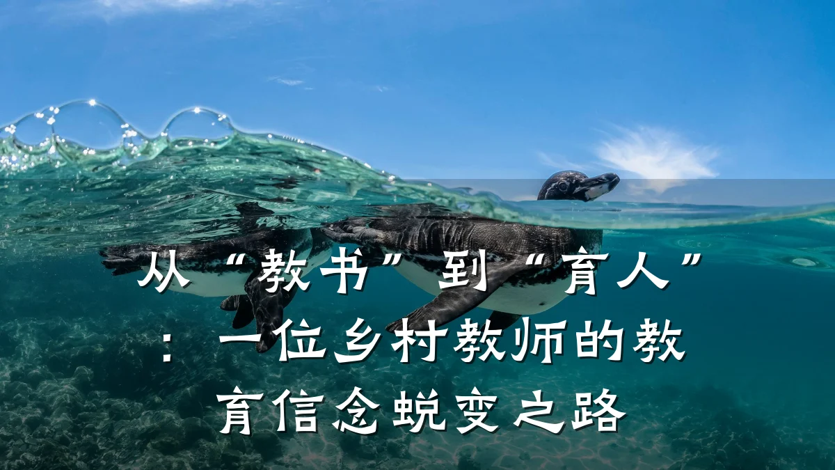 从“教书”到“育人”：一位乡村教师的教育信念蜕变之路