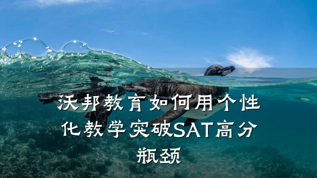 沃邦教育如何用个性化教学突破SAT高分瓶颈