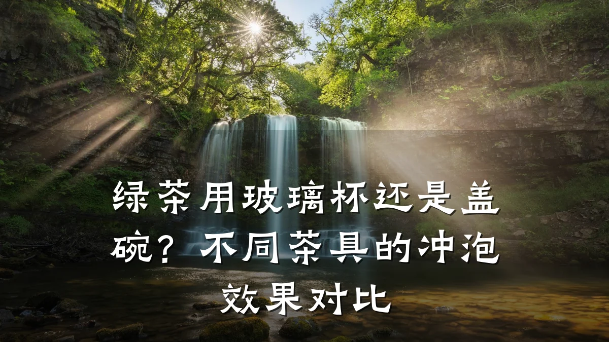 绿茶用玻璃杯还是盖碗？不同茶具的冲泡效果对比