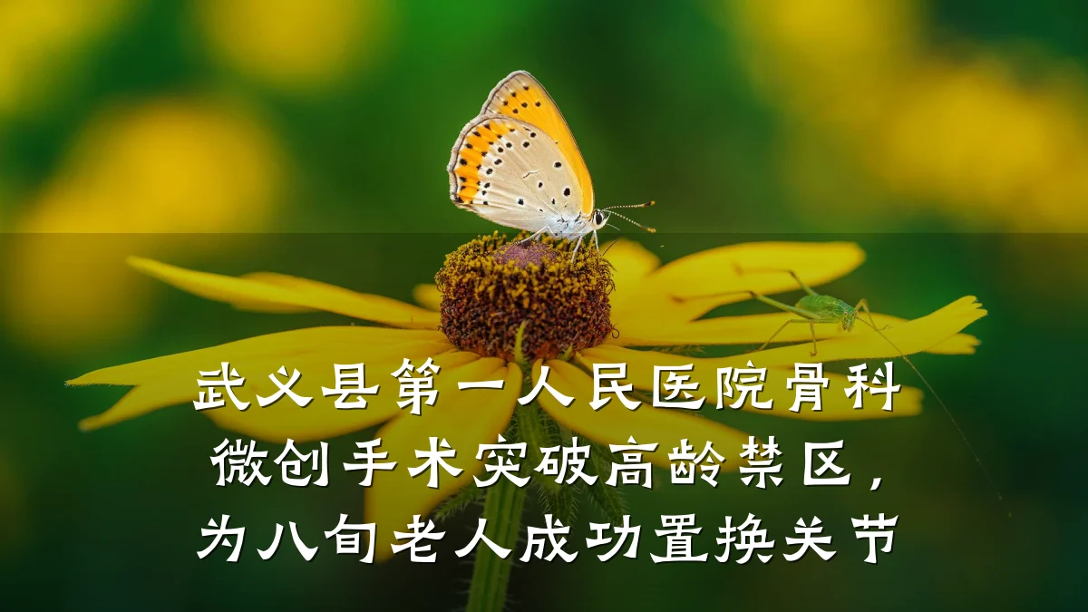 武义县第一人民医院骨科微创手术突破高龄禁区,为八旬老人成功置换关节