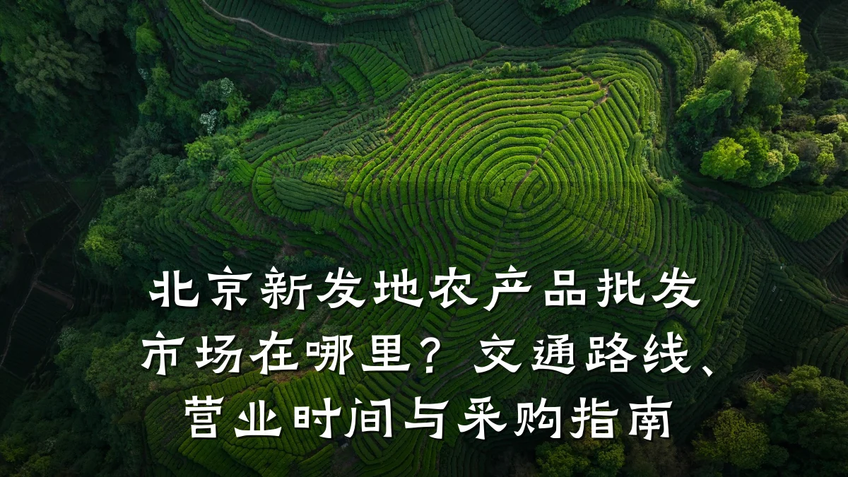 北京新发地农产品批发市场在哪里?交通路线、营业时间与采购指南