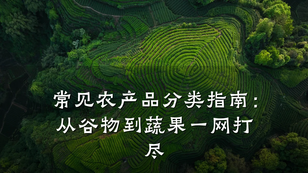 常见农产品分类指南:从谷物到蔬果一网打尽