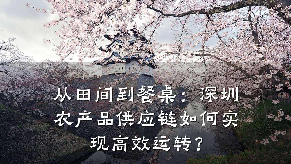 从田间到餐桌：深圳农产品供应链如何实现高效运转？