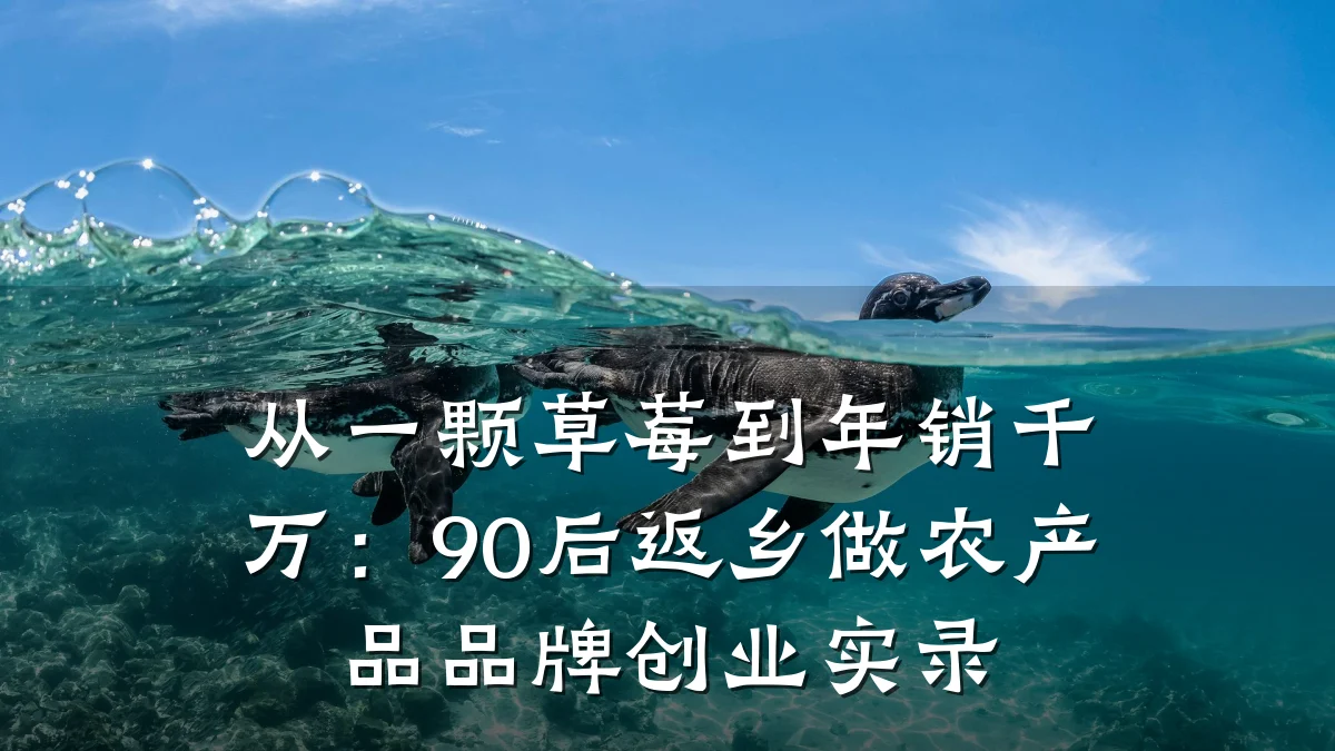从一颗草莓到年销千万:90后返乡做农产品品牌创业实录