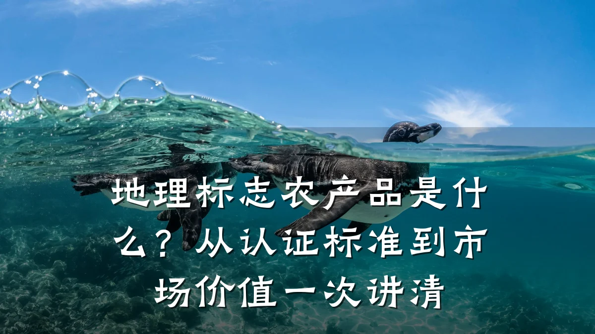地理标志农产品是什么?从认证标准到市场价值一次讲清