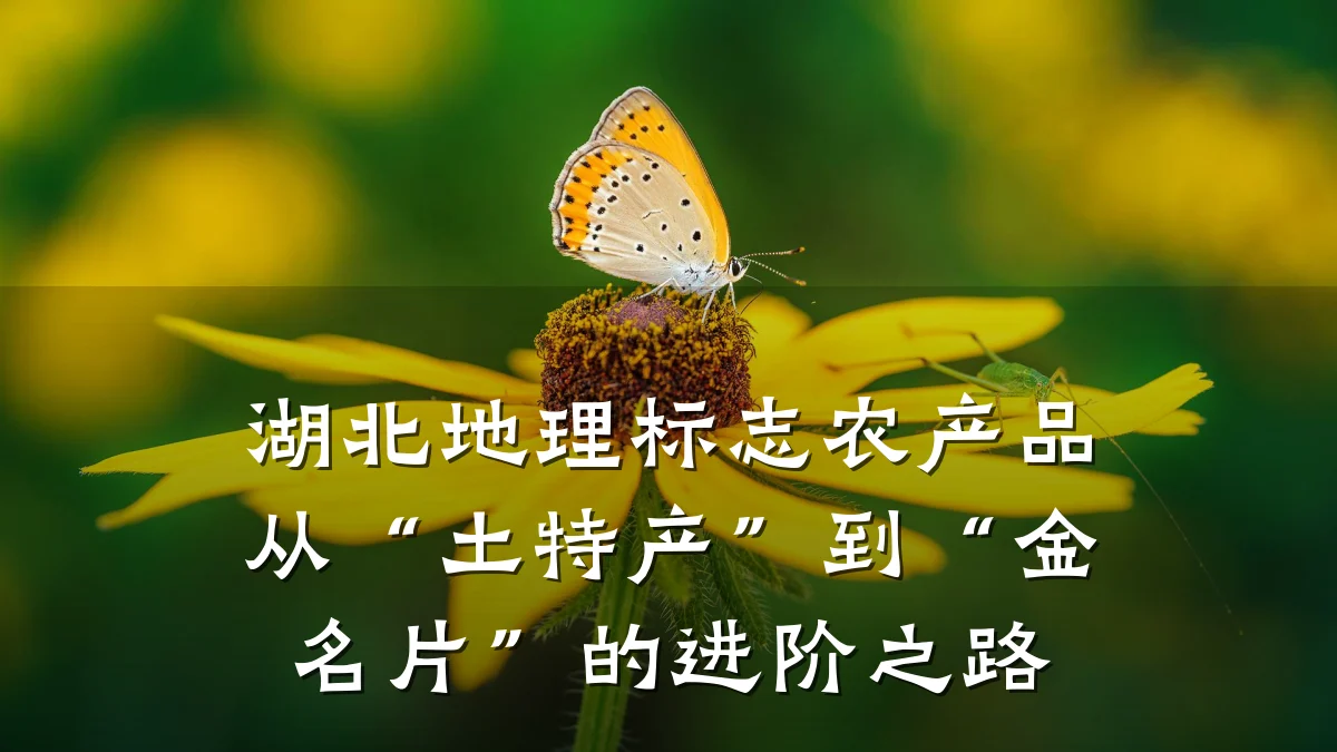 湖北地理标志农产品从“土特产”到“金名片”的进阶之路